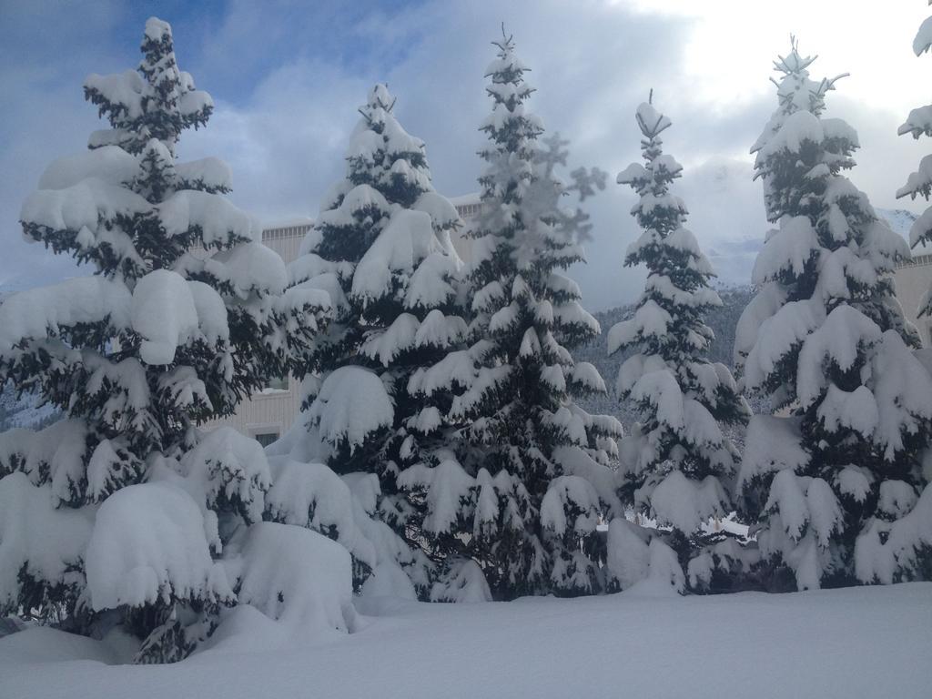 Studio Champfer Sankt Moritz Zewnętrze zdjęcie